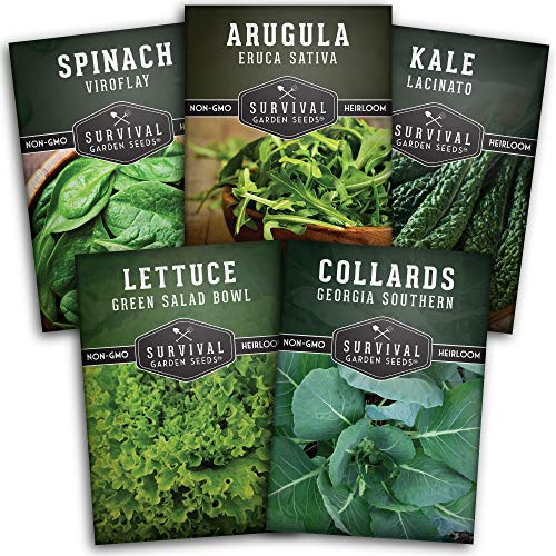 Survival Garden Seeds Greens Collection Seed Vault - Non-GMO Heirloom Survival Garden Seeds for Planting - Waterproof Packaging for Long Term Storage