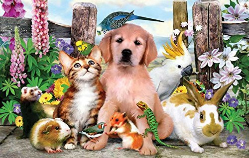 SunsOut Good Companions 100 pc Jigsaw Puzzle