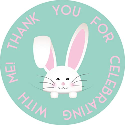 Rabbit Thank You Stickers 40-Pack 2 Birthday Favor Labels Party Decorations Supplies