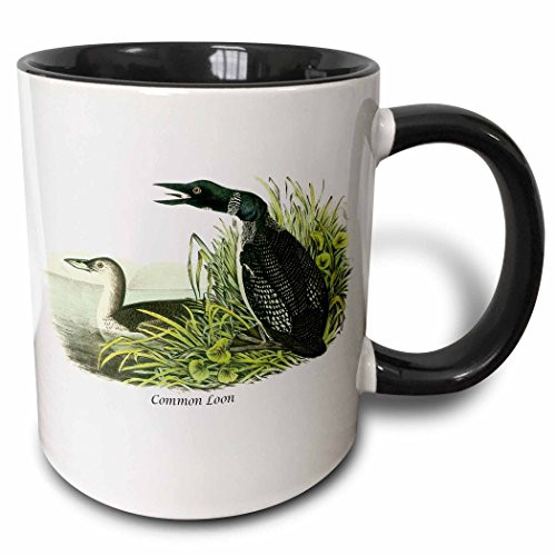 3dRose 114112_4 Common Loon by John James Audubon Two Tone Black Mug 11 oz White