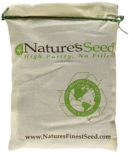 Natures Seed PB-PNHB-500-F Pacific Northwest Honey Bee Pasture Blend 500 sq_