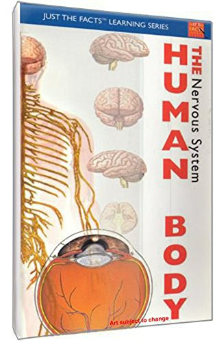 Just The Facts The Human Body - Nervous System