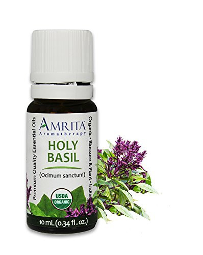Amrita Aromatherapy Organic Holy Basil Essential Oil 100 Pure Undiluted Ocimum sanctum Therapeutic Grade Premium Quality Aromatherapy oil Tested   Verified 10ML