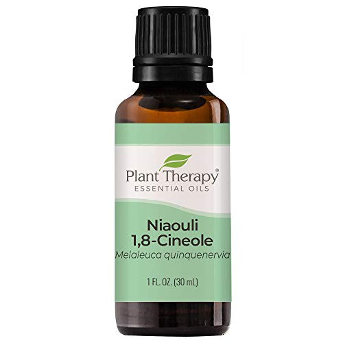 Plant Therapy Niaouli 18-Cineole Essential Oil 30 mL 1 oz 100 Pure Undiluted Therapeutic Grade Plant Therapy Niaouli 18-Cineole Essential Oil 30 mL 1 oz 100 Pure Undiluted Therapeutic Grade
