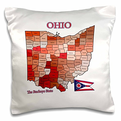 3dRose Print of 3 Guitars on Red Zebra Pattern-Pillow Case, 16 by 16" (pc_205197_1)