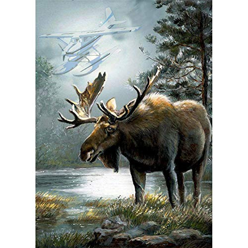 DIY 5D Diamond Painting by Numbers Kits Moose Forest Deer Animal Airplane Full Drill Rhinestones Paint with Diamonds Crystal Diamond Art Moose