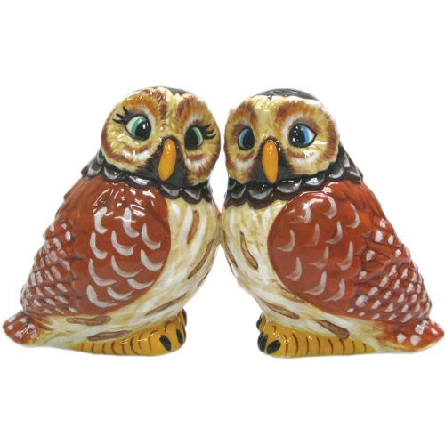 Westland Giftware Mwah Magnetic Owls Salt and Pepper Shaker Set 3-Inch