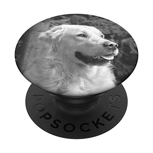 Golden Retriever Dog Black White Picture Gift For Dog Lover PopSockets Grip and Stand for Phones and Tablets