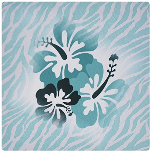 3dRose LLC 8 x 8 x 0.25 Inches Mouse Pad, Aqua Zebra with Teal Hibiscus (mp_119404_1) 3dRose LLC 8 x 8 x 0.25 Inches Mouse Pad, Aqua Zebra with Teal Hibiscus (mp_119404_1)