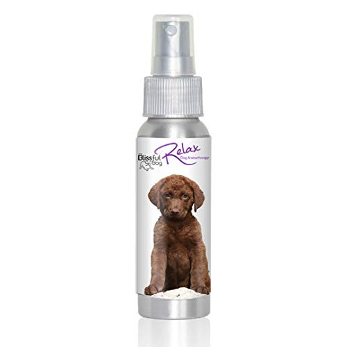 The Blissful Dog All Natural Chesapeake Bay Retriever Relax Dog Aromatherapy Spray