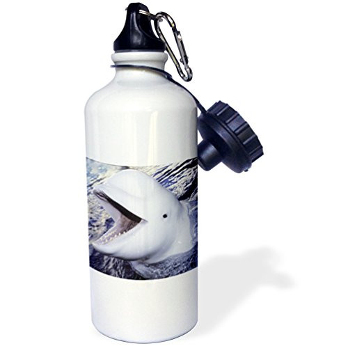 3dRose Photo Professional Ballerinas Dressed Up with Street Clothing But Wearing Ballet Shoes Sports Water Bottle 21 oz White