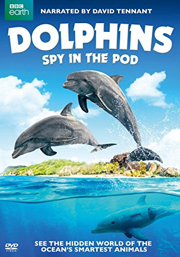 Dolphins Spy in the Pod DVD