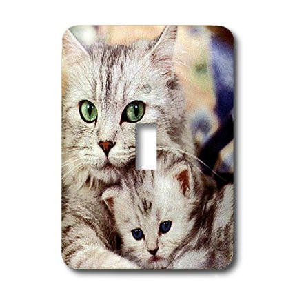 3dRose LSP_304_1"Cats Single Toggle Switch