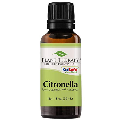 Plant Therapy Citronella Essential Oil 30 mL 1 oz 100 Pure Undiluted Therapeutic Grade Plant Therapy Citronella Essential Oil 30 mL 1 oz 100 Pure Undiluted Therapeutic Grade