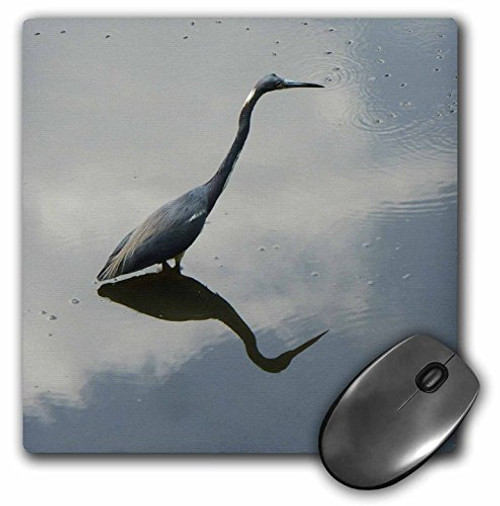 3dRose LLC 8 x 8 x 0.25 Inches Mouse Pad, Blue Heron Reflects (mp_7348_1) 3dRose LLC 8 x 8 x 0.25 Inches Mouse Pad, Blue Heron Reflects (mp_7348_1)