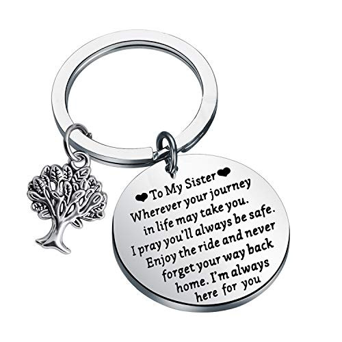 To My Sister Gifts Keychain Sister Gifts from Sister Brother Best Friend Jewelry Sisters Birthday Gift Ideas for Girls silver To My Sister Gifts Keychain Sister Gifts from Sister Brother Best Friend Jewelry Sisters Birthday Gift Ideas for Girls silver