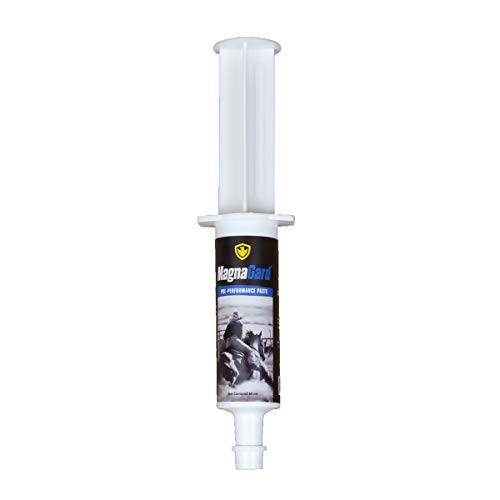 MagnaGard Pre-Performance Paste for Horses - All Natural Calmer Acid Buffer Gastric Support wElectrolytes - 60ml Syringe