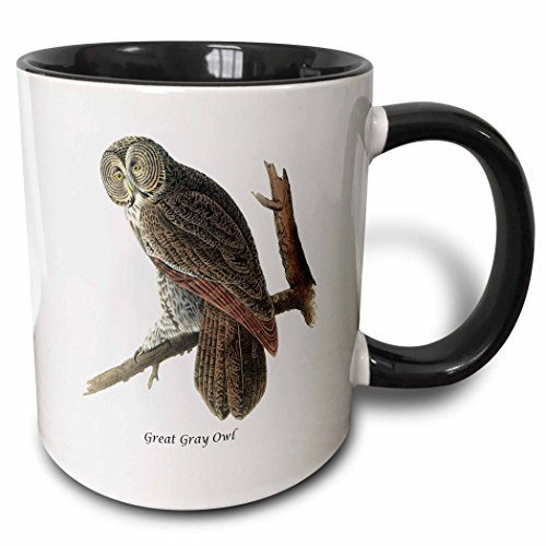 3dRose Gray Owl by John James Audubon Two Tone Mug 11 oz BlackWhite