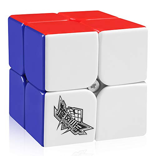 D-FantiX Cyclone Boys 2x2 Speed Cube Stickerless Magic Cube Puzzles Toys 50mm