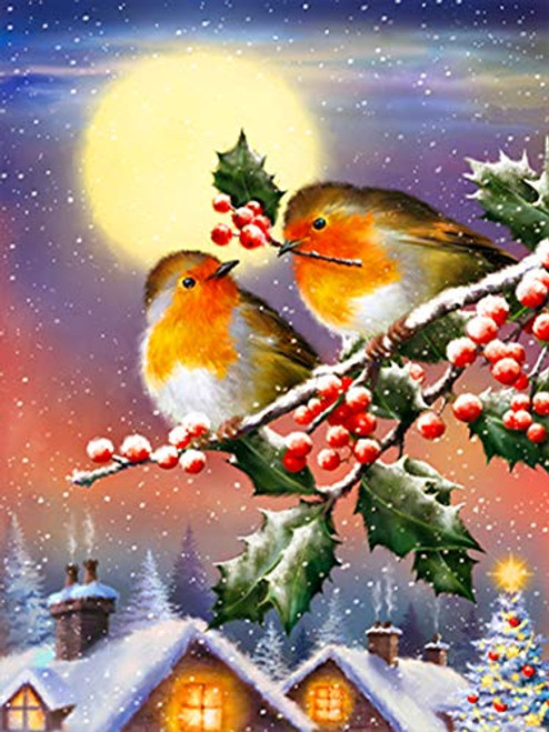 DIY 5D Diamond Painting by Number Kits Red Fruit Bird Diamond Paint by Numbers Full Drill Crystal Rhinestone Embroidery Pictures Arts Craft for Home Wall Decoration 30X40CM DIY 5D Diamond Painting by Number Kits Red Fruit Bird Diamond Paint by Numbers Full Drill Crystal Rhinestone Embroidery Pictures Arts Craft for Home Wall Decoration 30X40CM