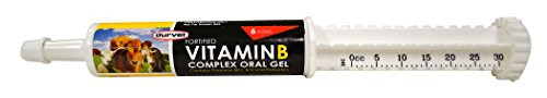 Durvet Vitamin B Complex 30ml