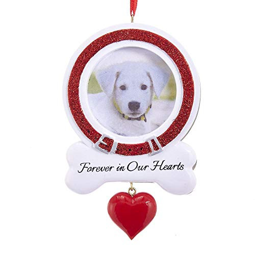 The Bridge Collection Forever in Our Hearts Framed Pet Memorial Ornament