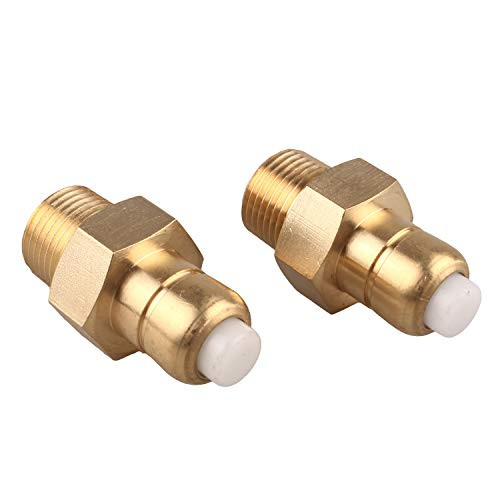 WILTEEXS Thermal Release Valve for Pressure Washer Pump 38 Inch NPT 2-Pack