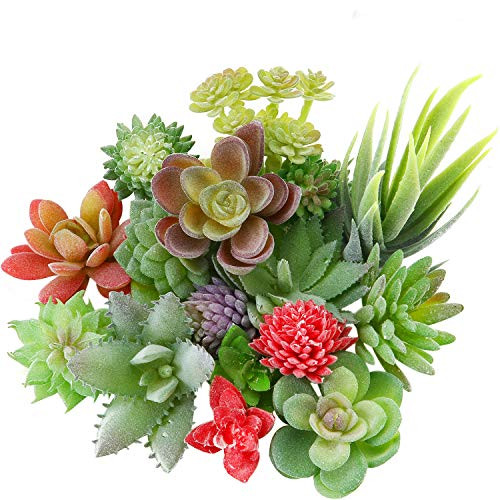 WILLBOND 18 Pieces Artificial Flocked Plants Plastic Succulent Unpotted Assorted Realistic Plants Fake Textured Succulent Picks for DIY Home Landscape Decorations WILLBOND 18 Pieces Artificial Flocked Plants Plastic Succulent Unpotted Assorted Realistic Plants Fake Textured Succulent Picks for DIY Home Landscape Decorations