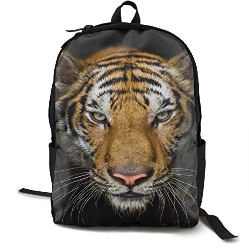 Big Tiger - Travel Laptop Backpack with Lock - 15 Inch Computer Business Backpacks for Women Men - College School Student Bookbag - Casual Outdoor Daypack