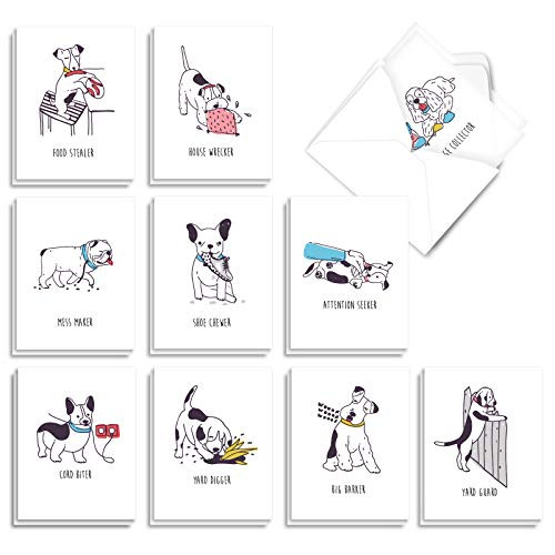 The Best Card Company Mischief Dogs - 20 Assorted Boxed All Occasions Note Cards with Envelopes 4 x 5_12 Inch - AM9168OCB-B2x10