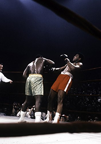 Muhammad Ali and Joe Frazier in the boxing ring Photo Print 8 x 10