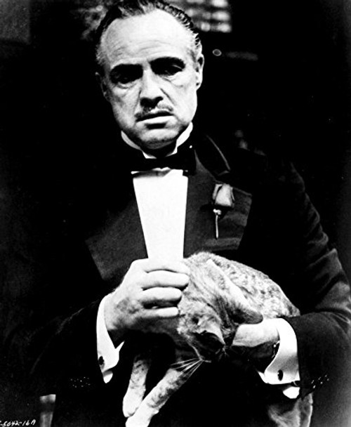 The Godfather Marlon Brando holding cat Photo Print 8 x 10 The Godfather Marlon Brando holding cat Photo Print 8 x 10