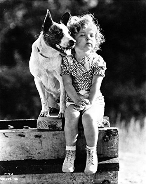 Shirley Temple sitting with a Dog in a Classic Portrait Photo Print 8 x 10 Shirley Temple sitting with a Dog in a Classic Portrait Photo Print 8 x 10