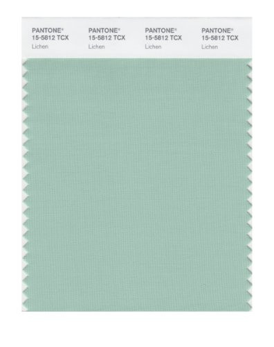 PANTONE Smart 15-5812X Color Swatch Card Lichen