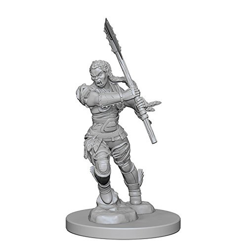 WizKids Pathfinder: Deep Cuts Unpainted Miniatures: Half-Orc Female Barbarian