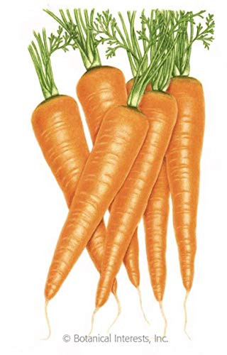 Botanical Interests Seed Carrot Danvers Organic