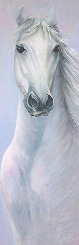 Posterazzi Collection Powerful White Horse Poster Print by Atelier B Art Studio 24 x 8