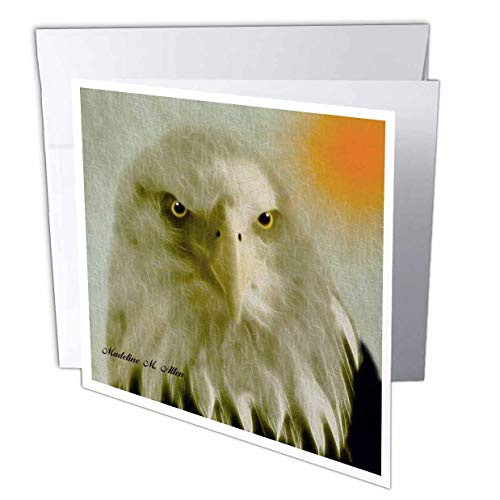 3dRose Bald Eagle - B - Greeting Cards 6 x 6 inches set of 12 gc-8393-2