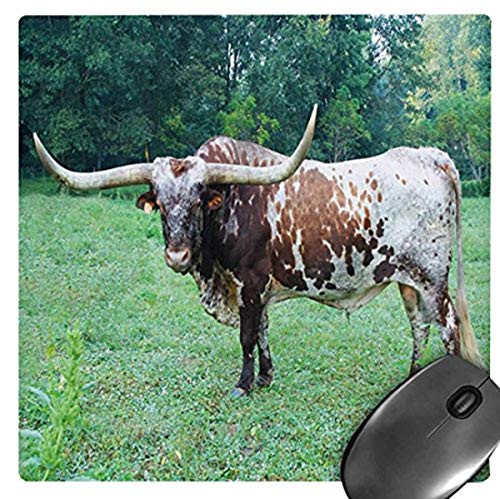 3dRose LLC 8 x 8 x 0_25 Inches Mouse Pad Picture of a Texas Longhorn Bull mp-101754-1 3dRose LLC 8 x 8 x 0_25 Inches Mouse Pad Picture of a Texas Longhorn Bull mp-101754-1