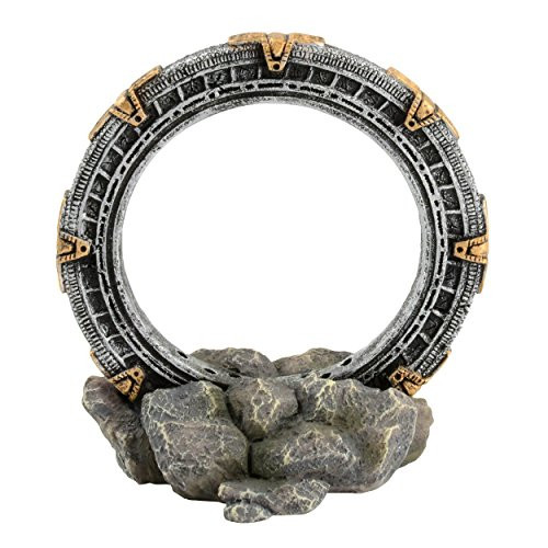 Underwater Treasures Sunken Medallion - Air Ornament - Small