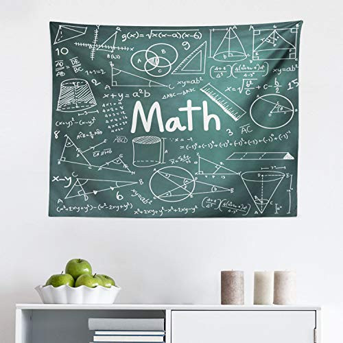 Lunarable Mathematics Classroom Tapestry School Board Full of Drawings Formulas Shapes Theory Math Lesson Word Fabric Wall Hanging Decor for Bedroom Living Room Dorm 28 X 23 White Teal