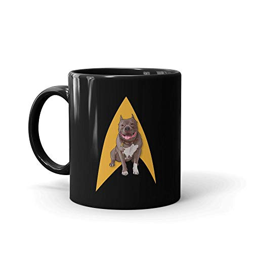 Star Trek Picard No_1 Delta Mug 11oz