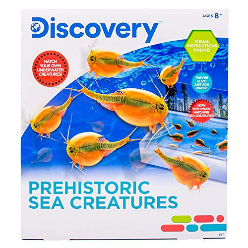 Discovery Prehistoric Sea Creatures by Horizon Group USA