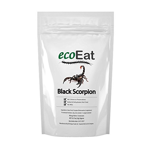 ecoEat Edible Asian Forest Scorpion