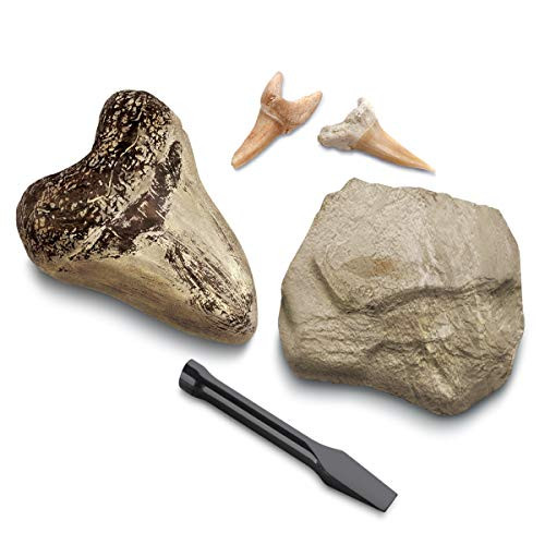 Discovery MINDBLOWN Mini Fossil Dig Set 2 Pack Real Shark Teeth Excavation Kit Interactive Archaeology Paleontology Experiment Learn Science Fun and Educational STEM Toy for Kids Ages 6 and Up