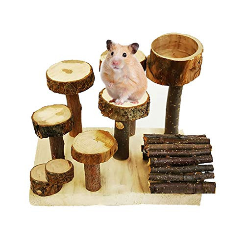 kathson Hamster Wooden Playground Natural Apple Chew Toys Set Platform with Wood Bridge Food Bowl Tunnel Toy for Small Animals Glider Chinchilla Guinea-Pigs