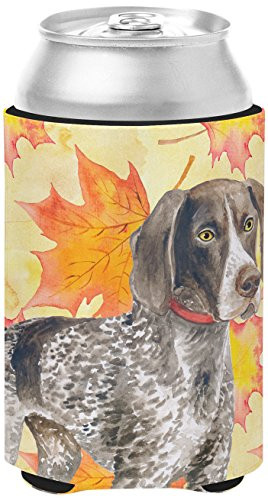 Caroline's Treasures BB9902CC German Shorthaired Pointer Fall Decorative Can Hugger, Multicolor