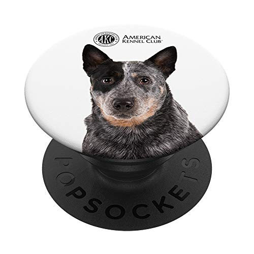 AKC Australian Cattle Dog Photo PopSocket PopSockets Grip and Stand for Phones and Tablets