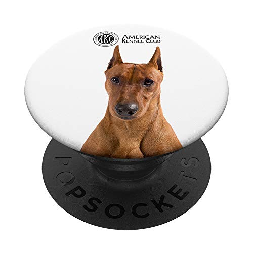AKC German Pinscher Photo PopSocket PopSockets Grip and Stand for Phones and Tablets
