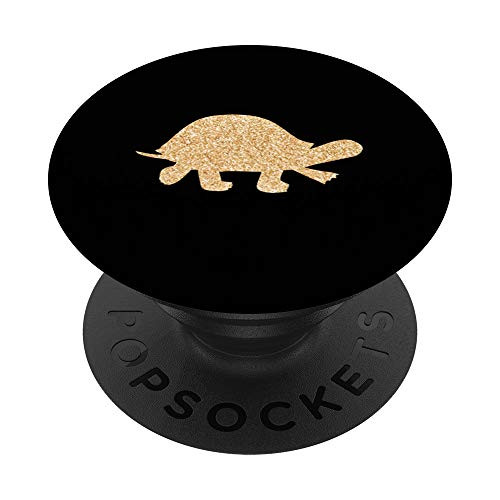BOX TURTLE PopSockets PopGrip Swappable Grip for Phones   Tablets